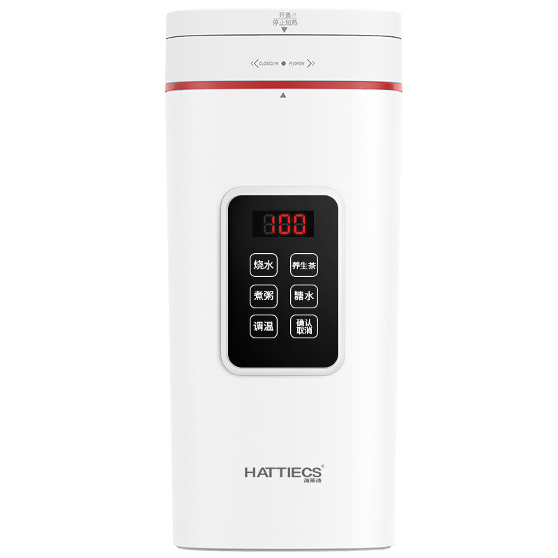 Electric Mini Portable Kettle - My Store